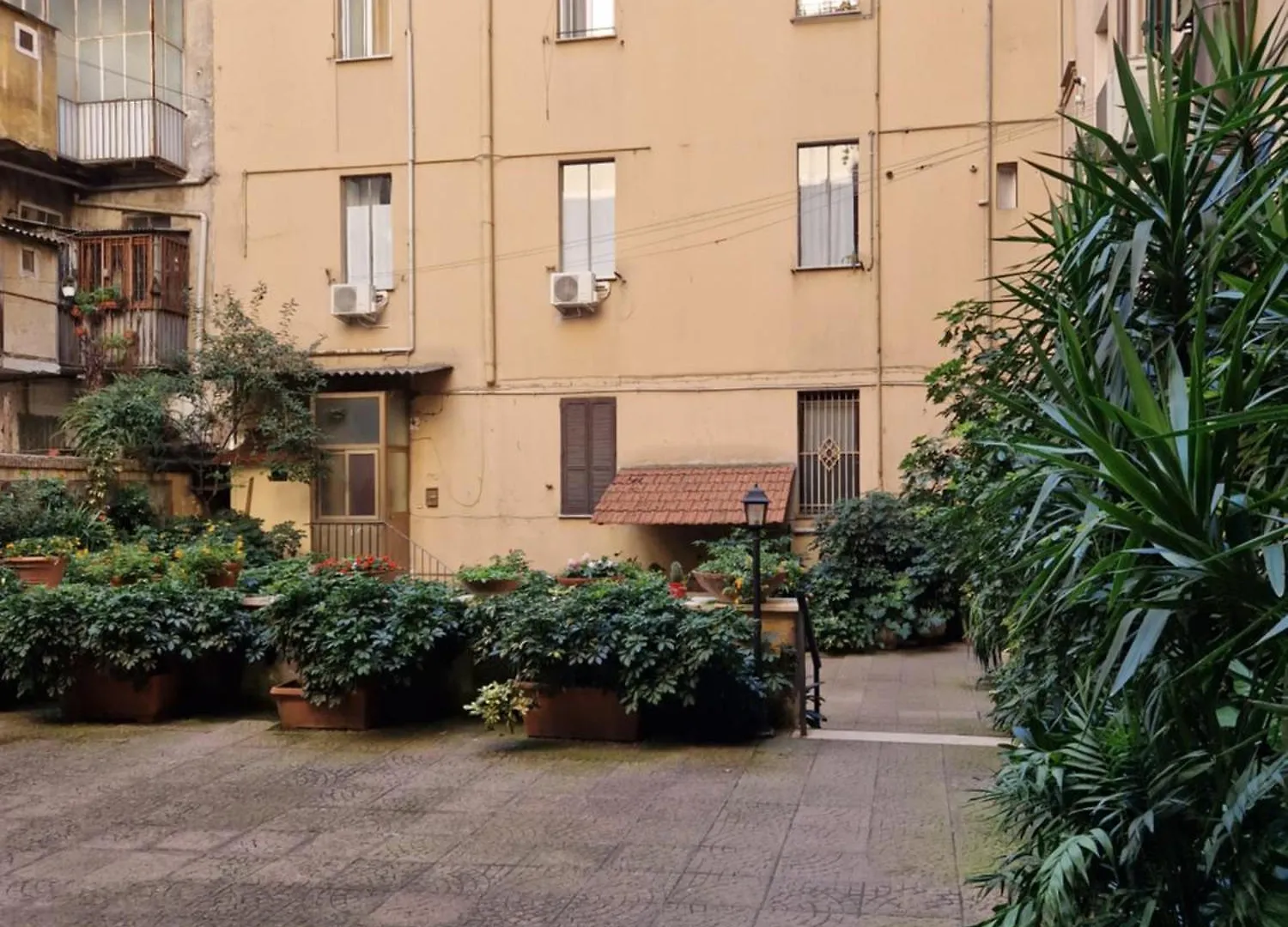 Pepe'S Place - Carlo Alberto Rome